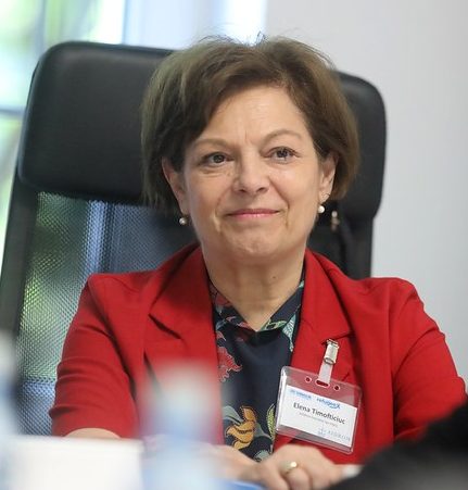 Elena Timfoticiuc, Secretar Executiv AIDRom